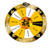 SPIN
